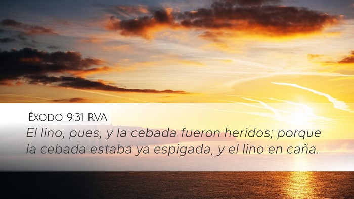 Éxodo 9:31 RVA Bible Verse Image