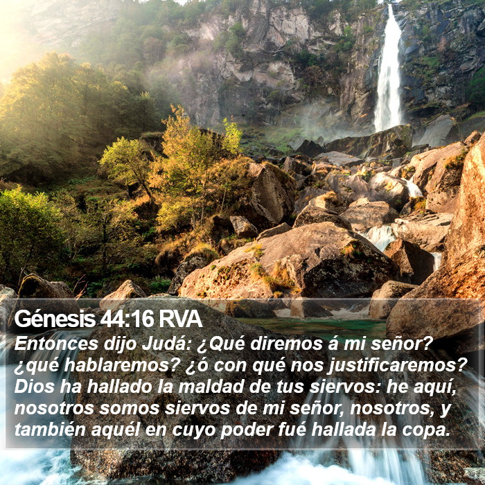 Aus Rva5 Génesis 44:16 RVA - Entonces dijo Judá: ¿Qué diremos á mi señor?