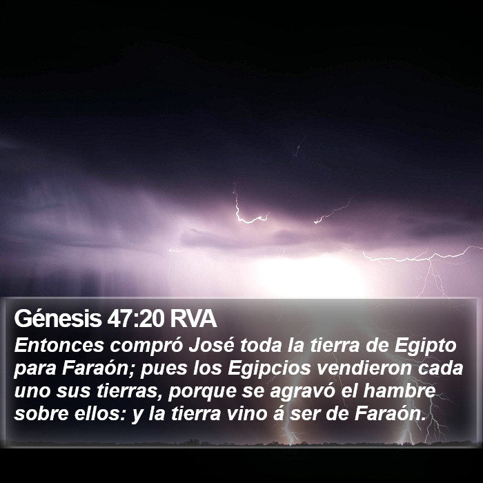 47 20 Génesis 47:20 RVA - Entonces compró José toda la tierra de Egipto