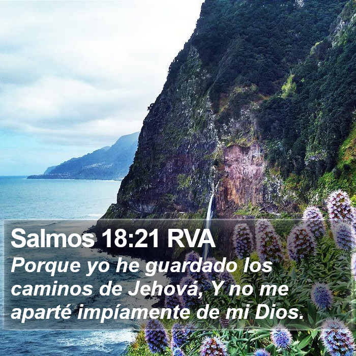 Salmos 18:21 RVA - Porque yo he guardado los caminos de Jehová, Y