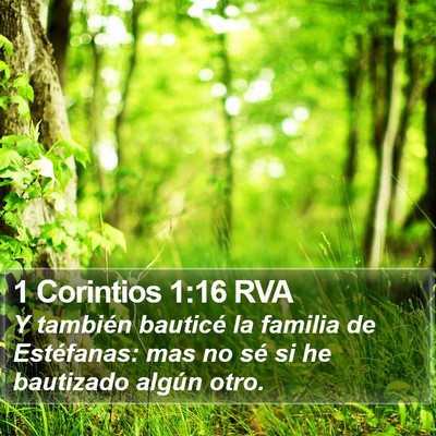1 Corintios 1:16 RVA Bible Verse Image