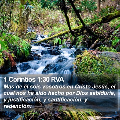1 Corintios 1:30 RVA Bible Verse Image