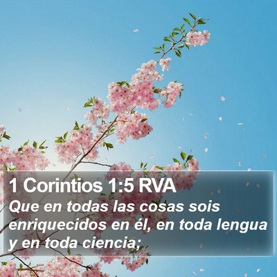 1 Corintios 1:5 RVA Bible Verse Image