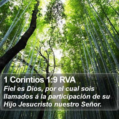 1 Corintios 1:9 RVA Bible Verse Image