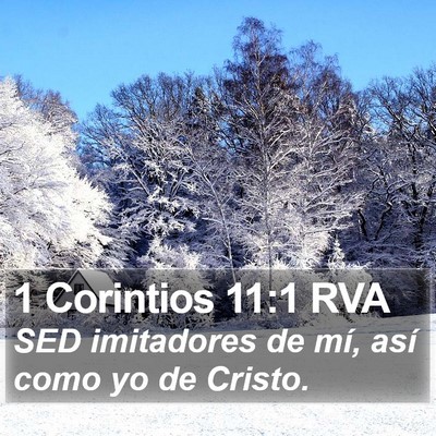 1 Corintios 11:1 RVA Bible Verse Image