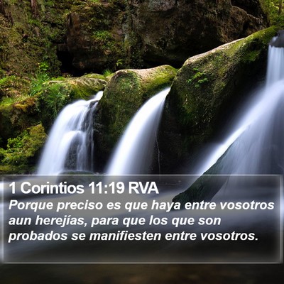 1 Corintios 11:19 RVA Bible Verse Image