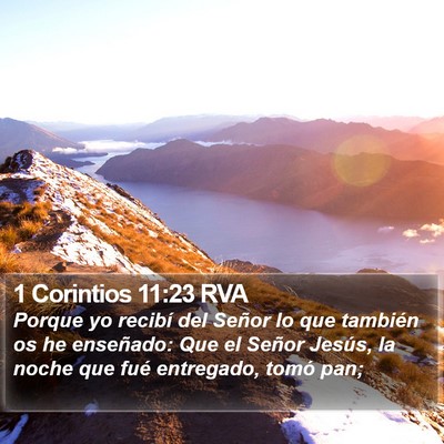 1 Corintios 11:23 RVA Bible Verse Image