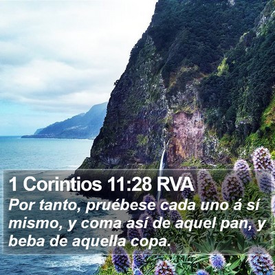 1 Corintios 11:28 RVA Bible Verse Image