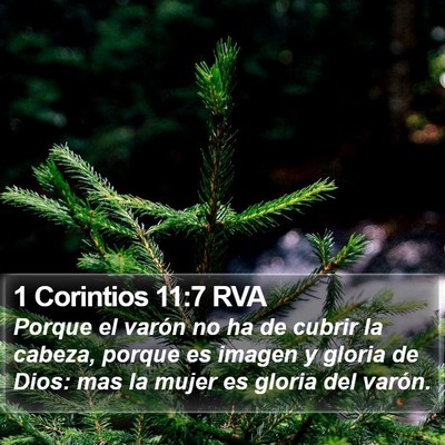 1 Corintios 11:7 RVA Bible Verse Image