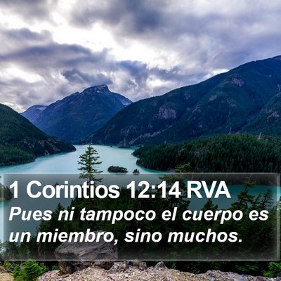1 Corintios 12:14 RVA Bible Verse Image