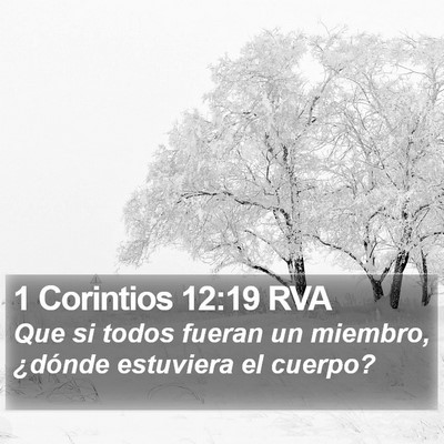 1 Corintios 12:19 RVA Bible Verse Image