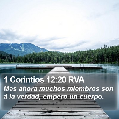 1 Corintios 12:20 RVA Bible Verse Image