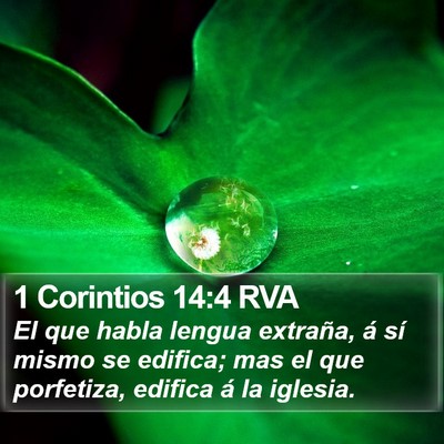 1 Corintios 14:4 RVA Bible Verse Image