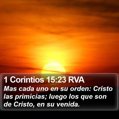 1 Corintios 15:23 RVA Bible Verse Image