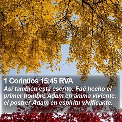 1 Corintios 15:45 RVA Bible Verse Image
