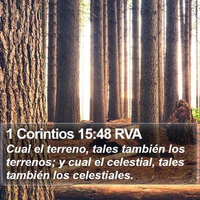 1 Corintios 15:48 RVA Bible Verse Image