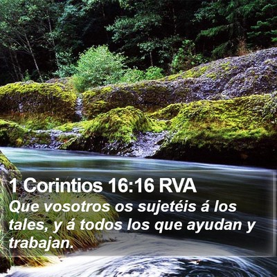 1 Corintios 16:16 RVA Bible Verse Image