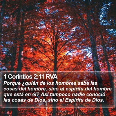 1 Corintios 2:11 RVA Bible Verse Image