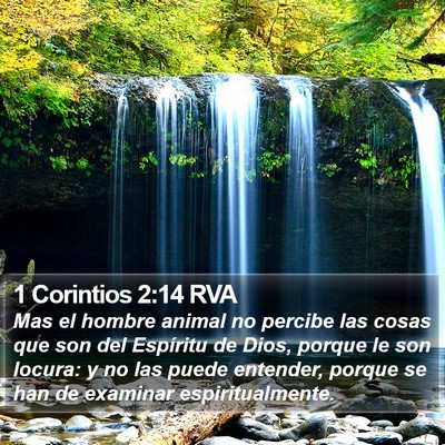 1 Corintios 2:14 RVA Bible Verse Image