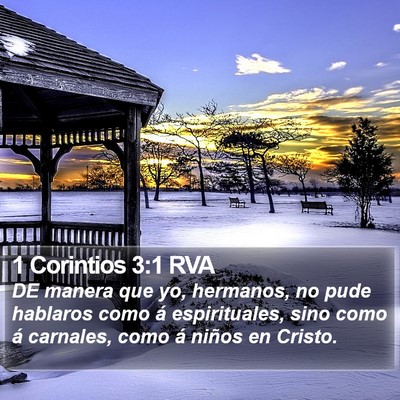 1 Corintios 3:1 RVA Bible Verse Image
