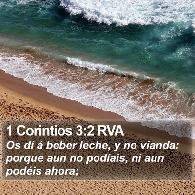 1 Corintios 3:2 RVA Bible Verse Image