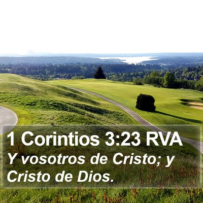 1 Corintios 3:23 RVA Bible Verse Image