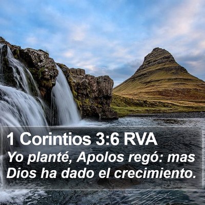 1 Corintios 3:6 RVA Bible Verse Image