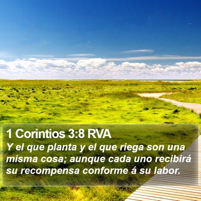 1 Corintios 3:8 RVA Bible Verse Image