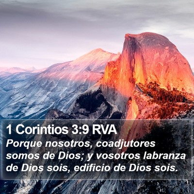 1 Corintios 3:9 RVA Bible Verse Image