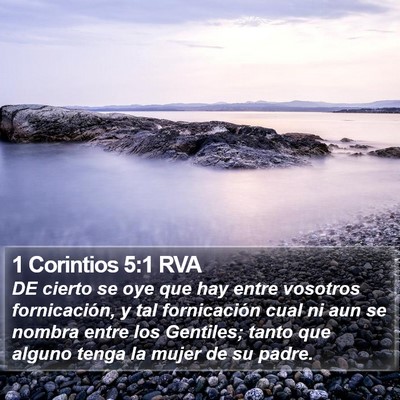1 Corintios 5:1 RVA Bible Verse Image