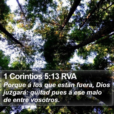 1 Corintios 5:13 RVA Bible Verse Image