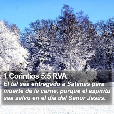 1 Corintios 5:5 RVA Bible Verse Image