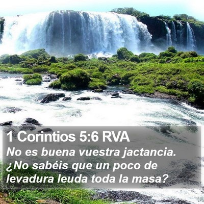 1 Corintios 5:6 RVA Bible Verse Image