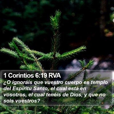 1 Corintios 6:19 RVA Bible Verse Image