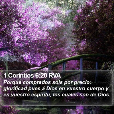 1 Corintios 6:20 RVA Bible Verse Image
