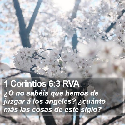 1 Corintios 6:3 RVA Bible Verse Image