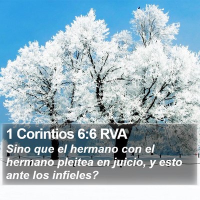 1 Corintios 6:6 RVA Bible Verse Image