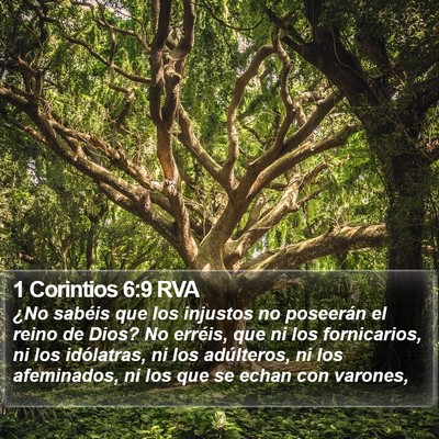 1 Corintios 6:9 RVA Bible Verse Image