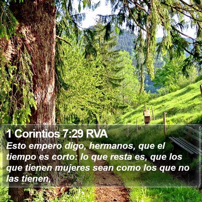 1 Corintios 7:29 RVA Bible Verse Image