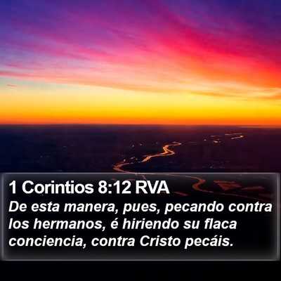 1 Corintios 8:12 RVA Bible Verse Image