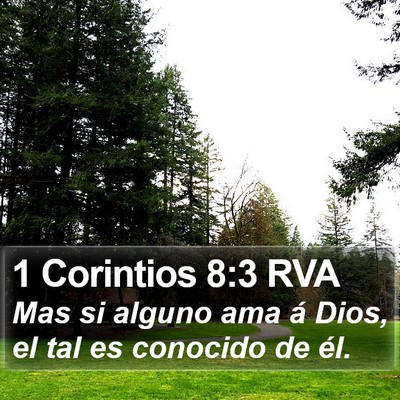 1 Corintios 8:3 RVA Bible Verse Image