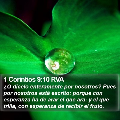 1 Corintios 9:10 RVA Bible Verse Image