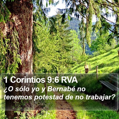 1 Corintios 9:6 RVA Bible Verse Image