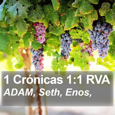 1 Crónicas 1:1 RVA Bible Verse Image