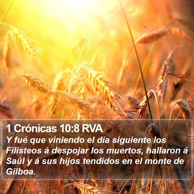 1 Crónicas 10:8 RVA Bible Verse Image