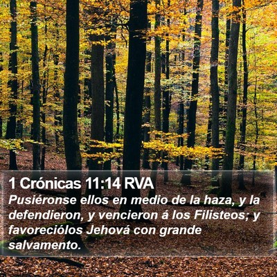 1 Crónicas 11:14 RVA Bible Verse Image
