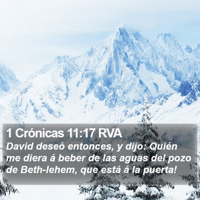 1 Crónicas 11:17 RVA Bible Verse Image