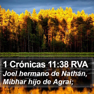 1 Crónicas 11:38 RVA Bible Verse Image