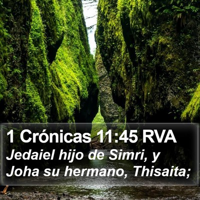 1 Crónicas 11:45 RVA Bible Verse Image