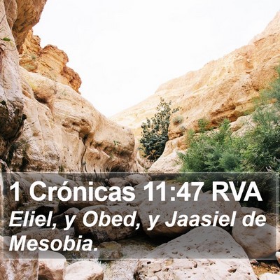 1 Crónicas 11:47 RVA Bible Verse Image
